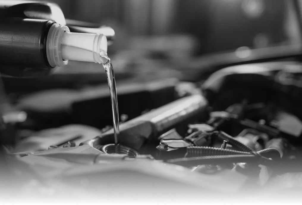 Lojão das Peças | Líder em Autopeças e Serviços de Mecânica - Descubra a ampla variedade de peças para todas as marcas e modelos. Oferecemos entrega em domicílio, instalação de peças e manutenção/oficina de alta qualidade. Peça que a gente tem!